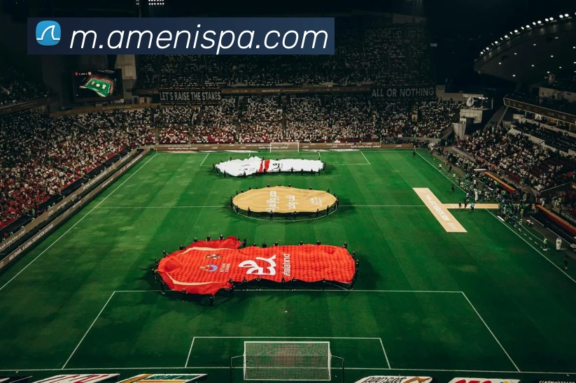 pa真人视讯品牌故事